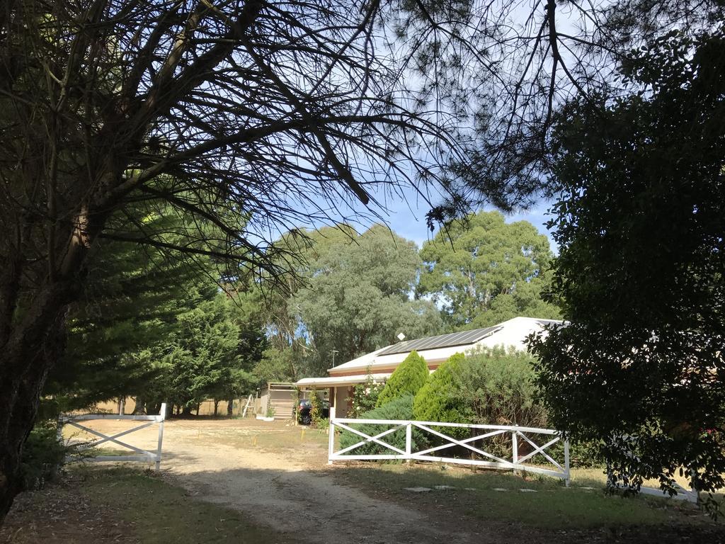 Helen'S Homestead Enfield Exterior photo